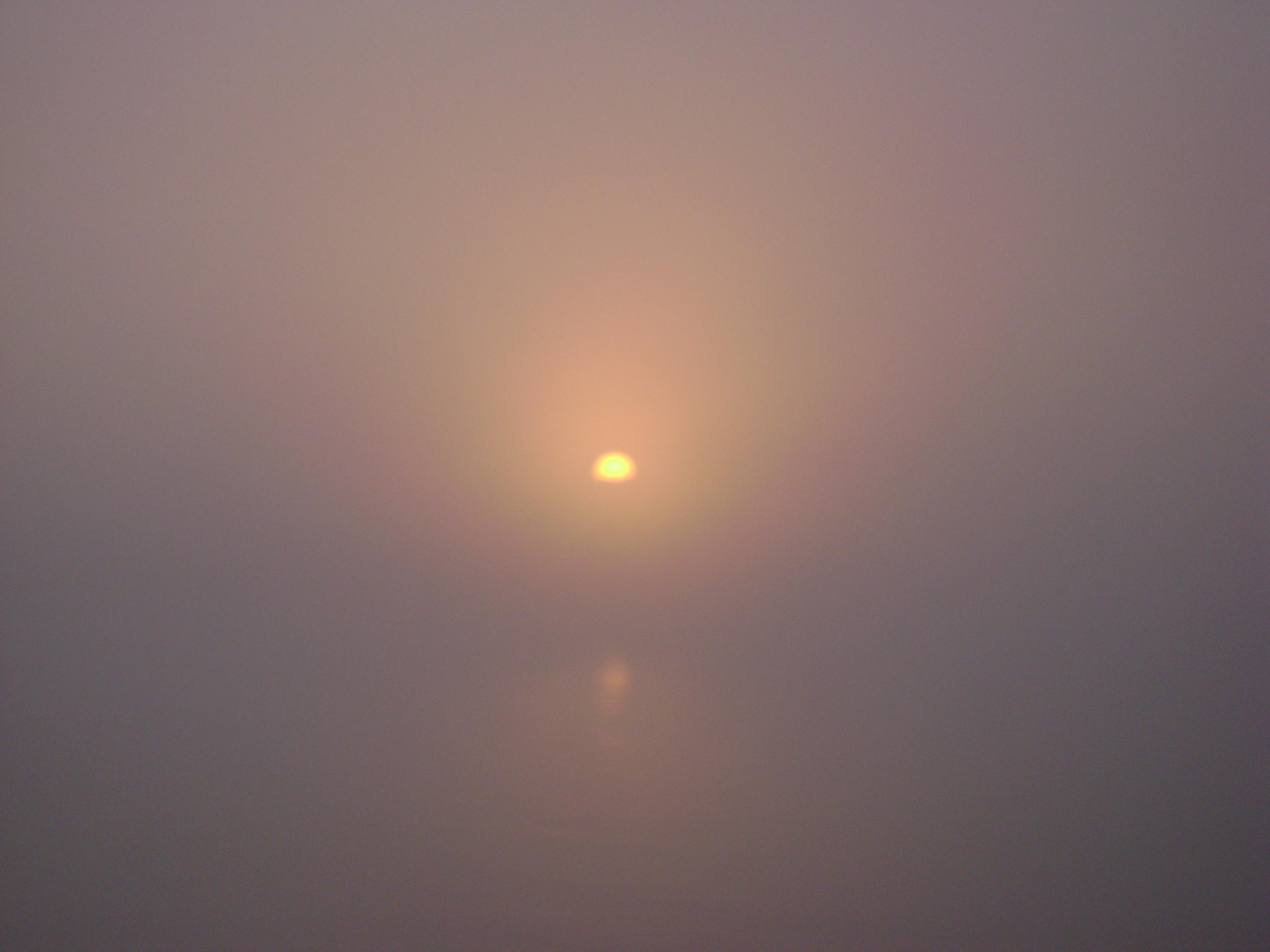 delta octombrie 2012 - delta octombrie 2012 031.JPG